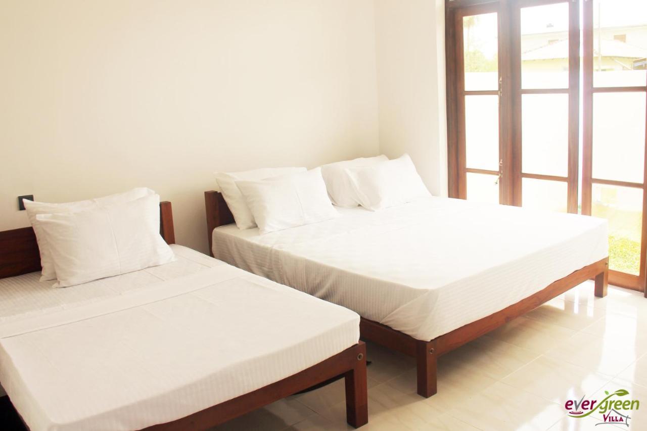 Ever Green Villa Negombo Dış mekan fotoğraf