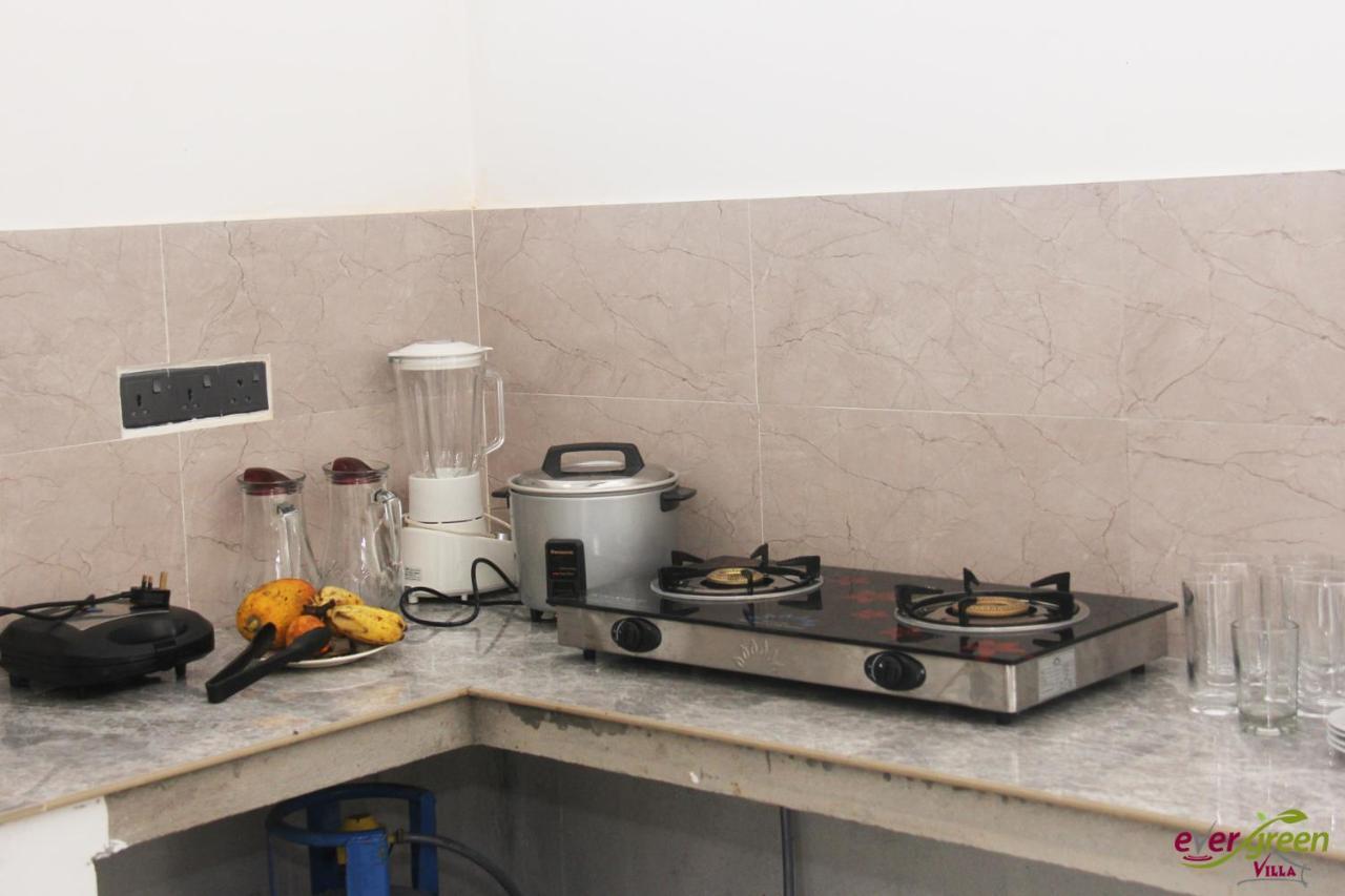 Ever Green Villa Negombo Dış mekan fotoğraf