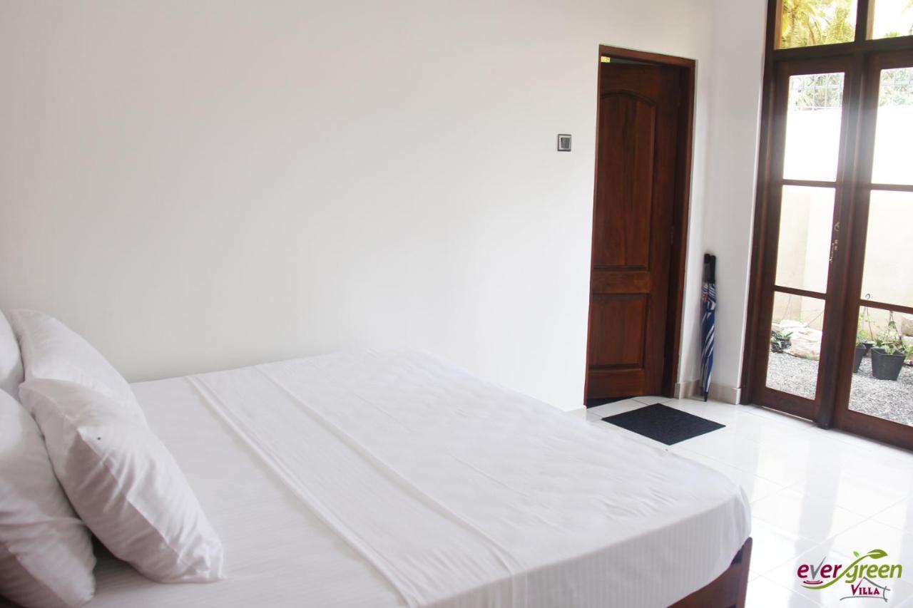 Ever Green Villa Negombo Dış mekan fotoğraf