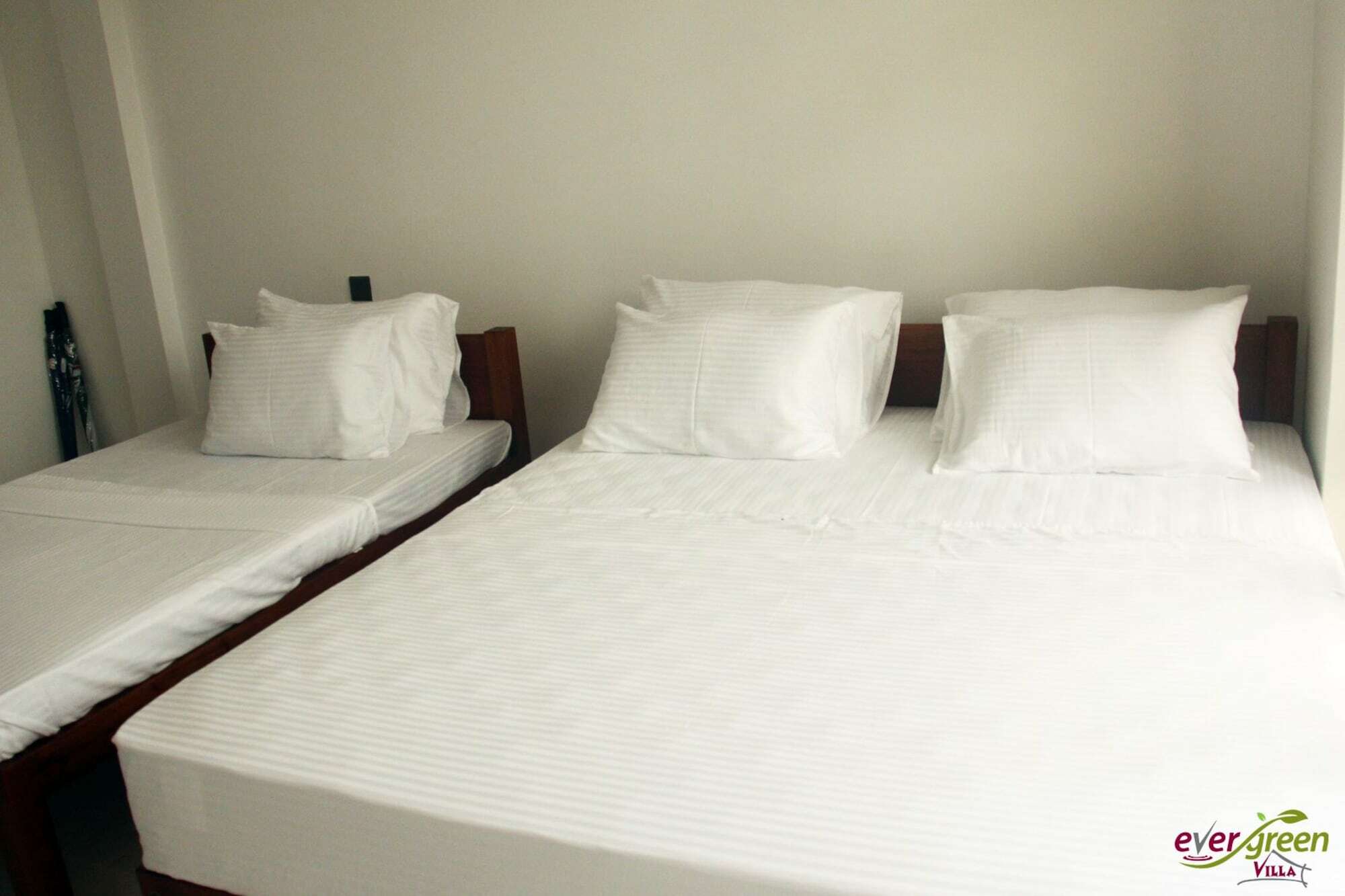 Ever Green Villa Negombo Dış mekan fotoğraf